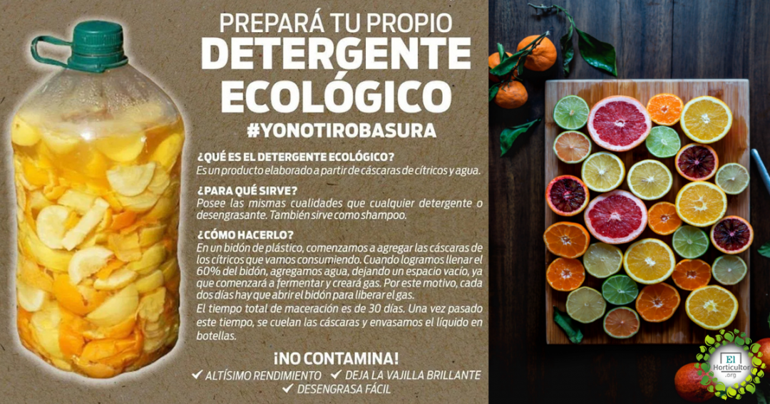 Haz tu propio detergente ecológico hoy Fácil sano y eficiente El