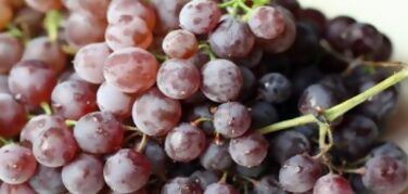 , Lista de Frutas y Verduras Más Fumigados durante su Cultivo