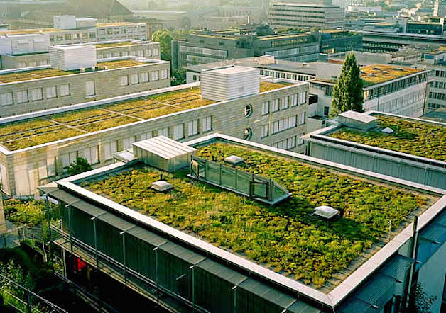 , Por ley los techos en Francia deberán estar cubiertos de plantas o paneles solares