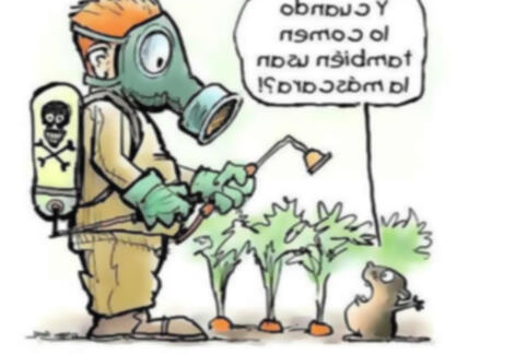 , 15 plantas protectoras y repelentes de insectos para nuestro Jardín