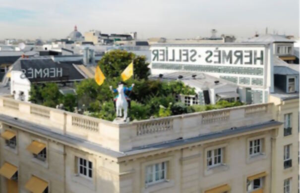 , Por ley los techos en Francia deberán estar cubiertos de plantas o paneles solares