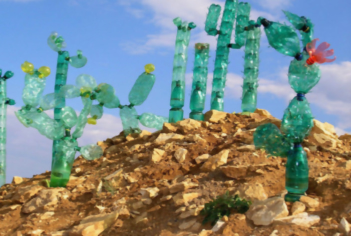 Дизайнер превращает пластиковые бутылки в удивительные скульптуры растений и животных