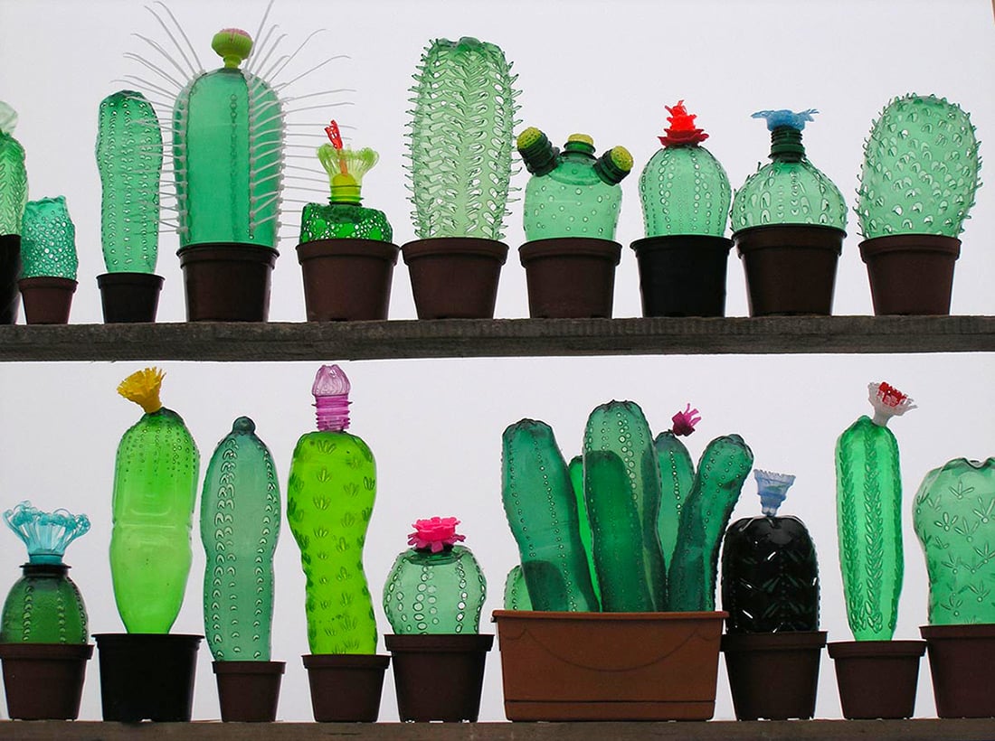 Дизайнер превращает пластиковые бутылки в удивительные скульптуры растений и животных. Facepla.net последние новости экологии