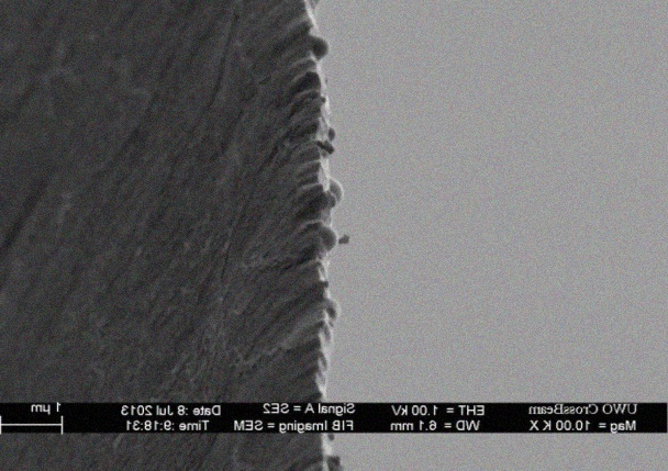 , Micromundo a través de un microscopio