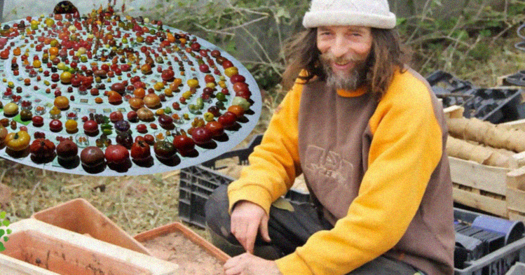 , Poot Pascal, Cultiva 400 variedades de tomates orgánicos sin usar agua