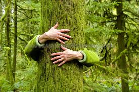 , Los beneficios de abrazar árboles han sido oficialmente validados por la ciencia