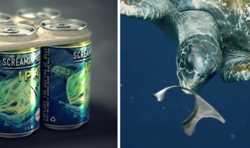 A embalagem de cerveja comestível que promete reduzir mortes de animais marinhos