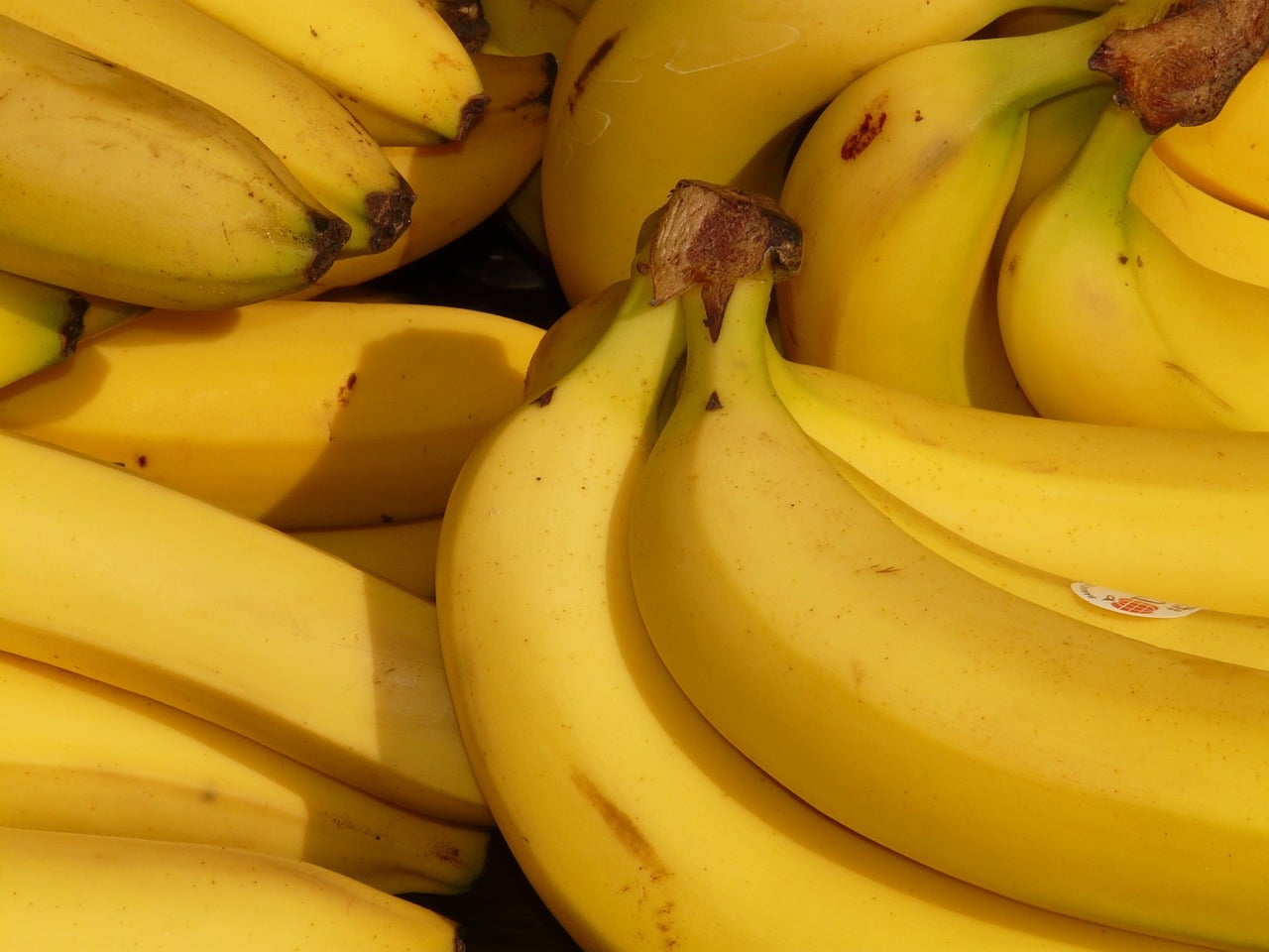 , Como hacer abono orgánico de cáscaras de banana o plátano