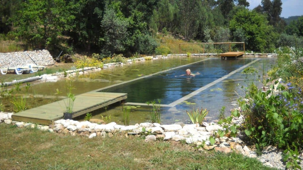 Como hacer una piscina natural o Bio-Piscina que sustituye cloro por plantas