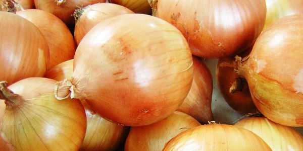 Beneficios y propiedades de la cebolla, Cebolla: beneficios, propiedades medicinales y usos
