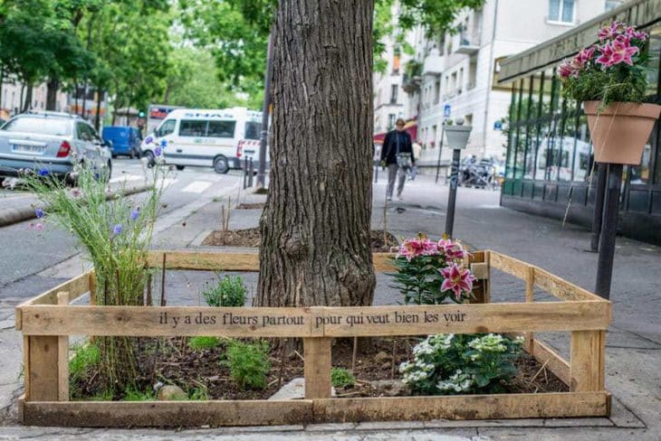 París permite por ley que su gente cultive comida orgánica y sostenible en cualquier lugar de la ciudad