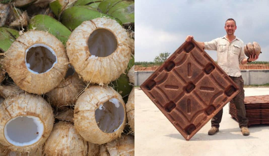 , Pallets hechos de cáscaras de coco salvan 200 millones de árboles al año