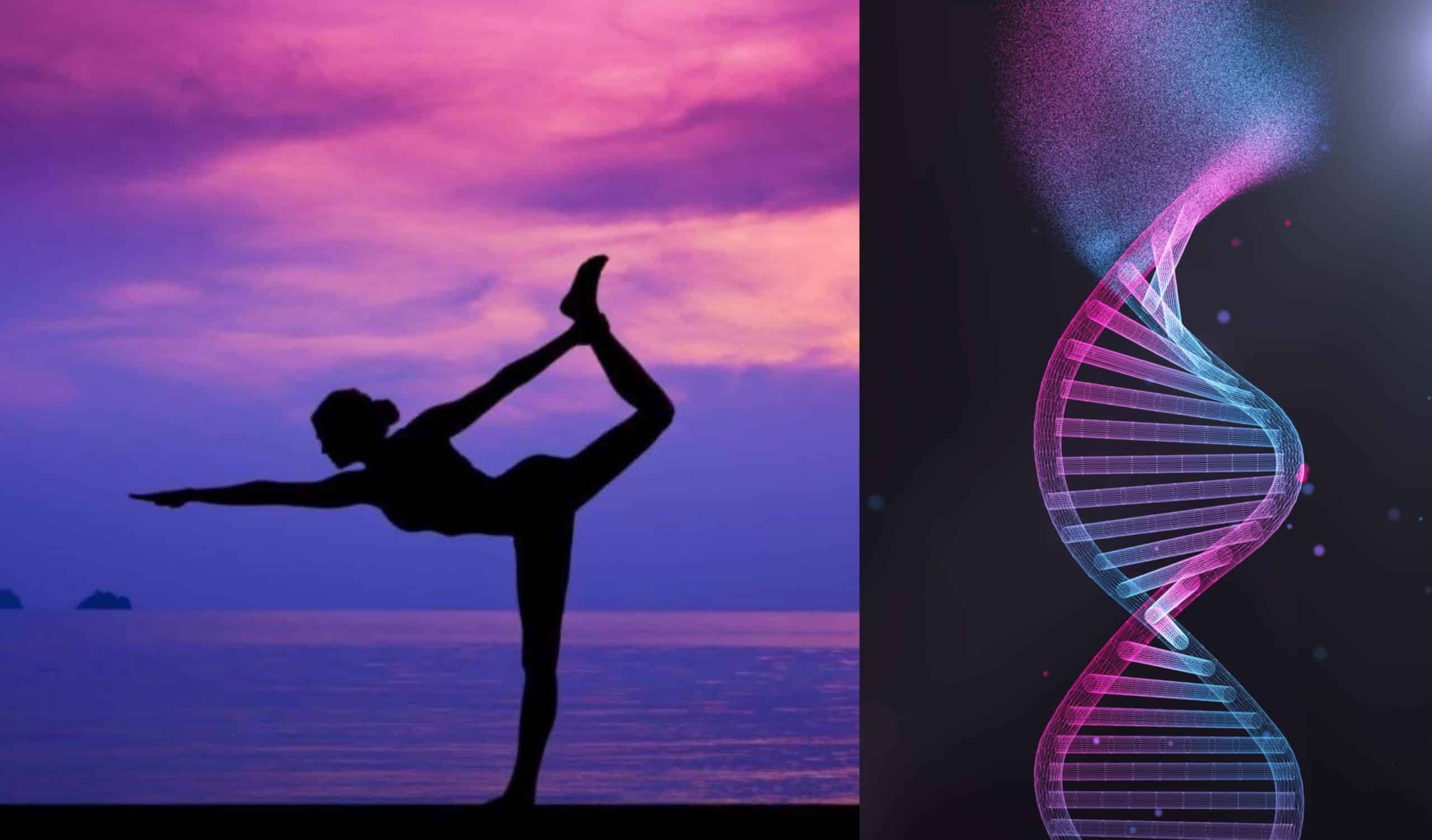 El yoga, la meditación o el Tai Chi revierten los efectos del estrés sobre el ADN
