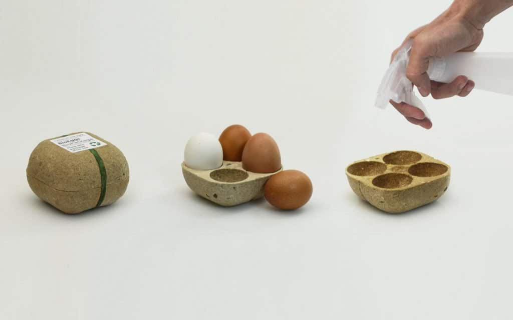 El embalaje de huevos que puede ser plantado después de su uso