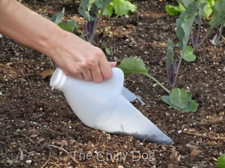 , Guarda tus botellas de plástico: ¡Pueden ser muy útiles en el jardín!