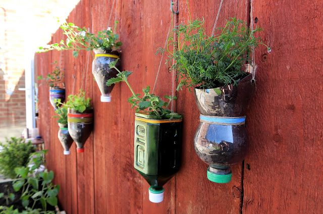 , Guarda tus botellas de plástico: ¡Pueden ser muy útiles en el jardín!