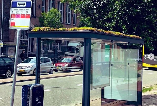 Ciudad holandesa transforma sus paradas de ómnibus en zonas de descanso para abejas