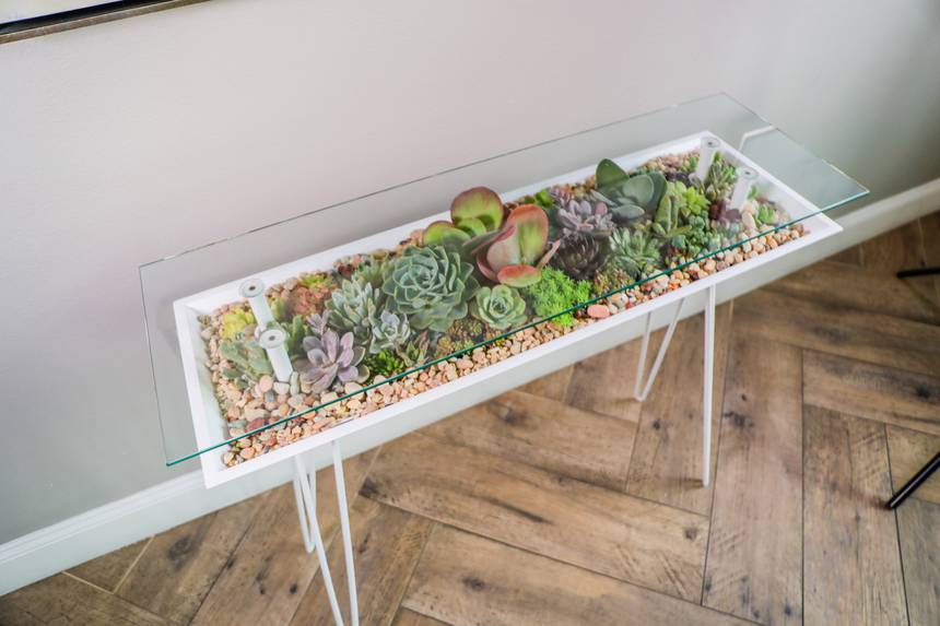 Esta mesa terrario le permite llenar muebles con plantas de interior