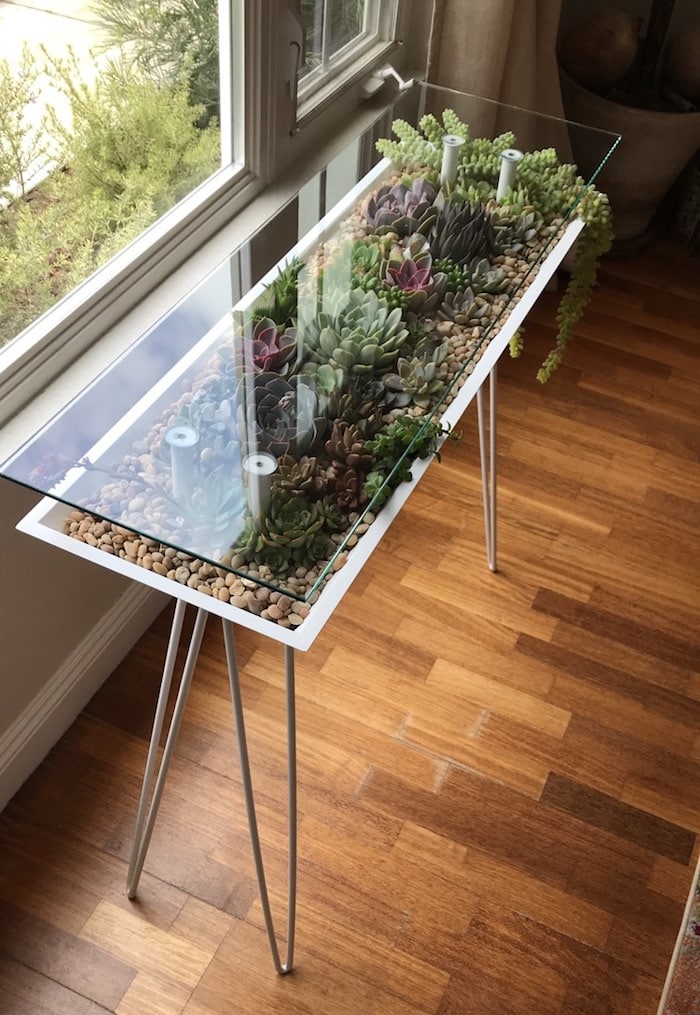 Esta mesa terrario le permite llenar muebles con plantas de interior