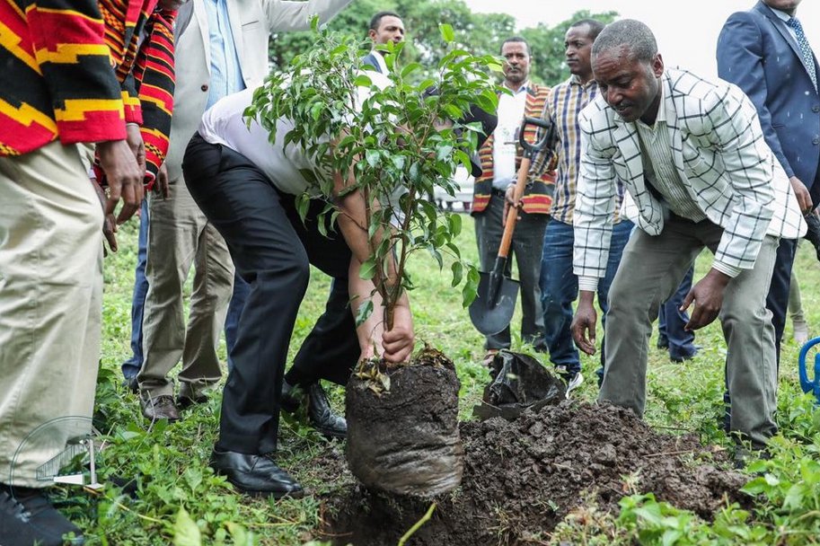 Etiopía planta 350 millones de árboles en solo 12 horas logrando un nuevo Récord mundial