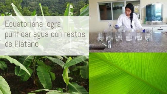 Joven Ecuatoriana logra filtrar y purificar agua con restos de Plátano