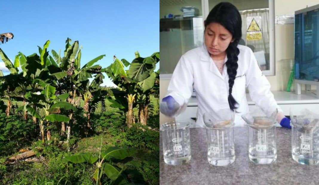 Joven Ecuatoriana logra filtrar y purificar agua con restos de Plátano