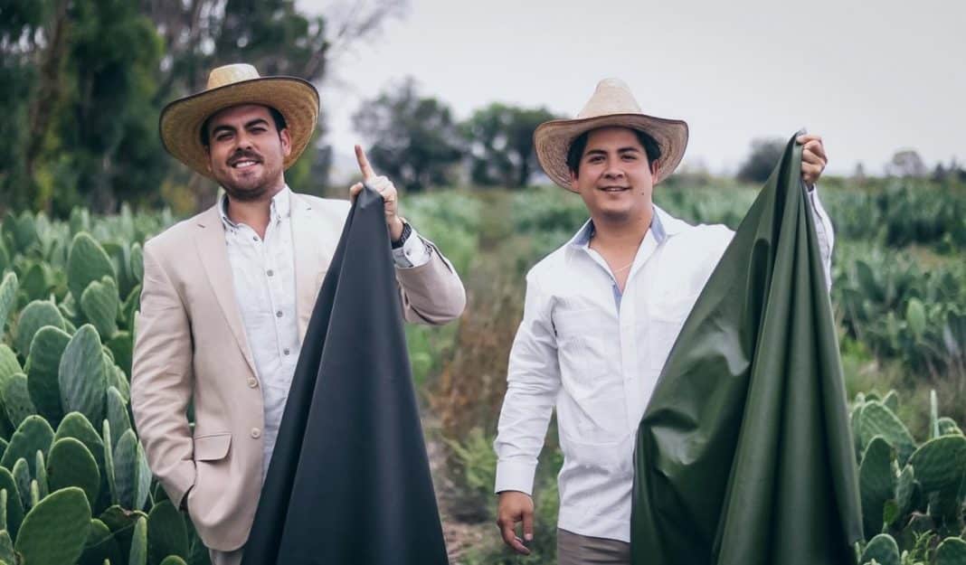 Para reemplazar el cuero animal, jóvenes mexicanos crean piel de cactus