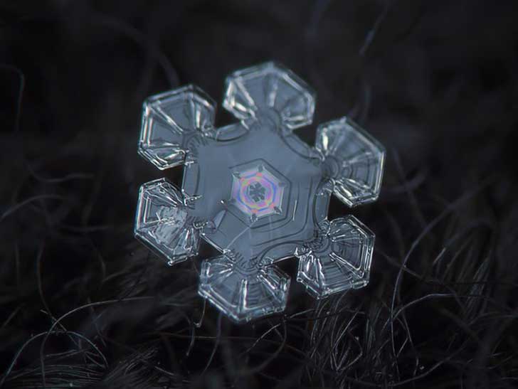 Fotos macro de copos de nieve muestran diseños imposiblemente perfectos