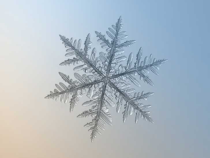 Fotos macro de copos de nieve muestran diseños imposiblemente perfectos