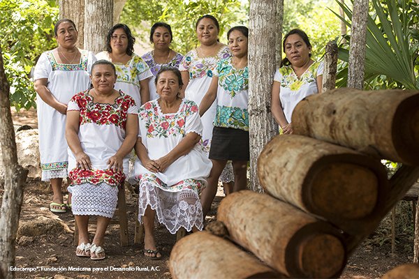Las mujeres mayas protegen a las abejas de la extinción