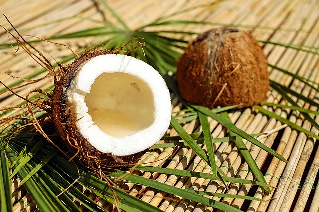 coconut photo