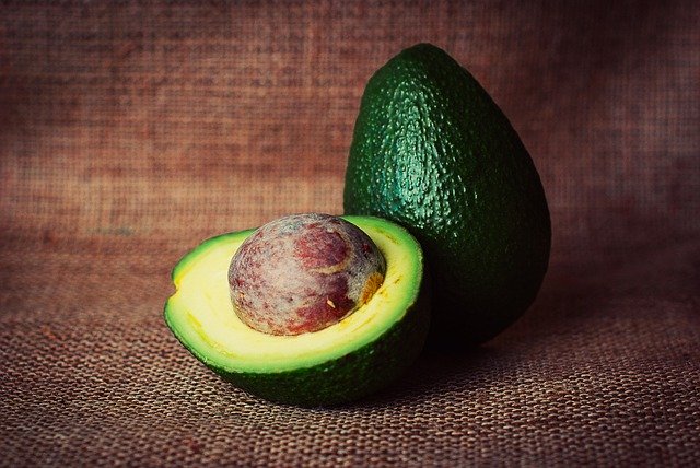 avocado pit photo