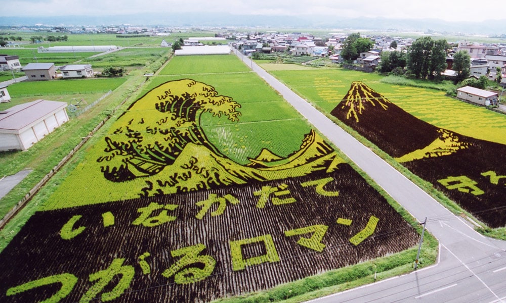 Agricultores japoneses utilizan distintas variedades de arroz para cultivar campos con diseños increíbles