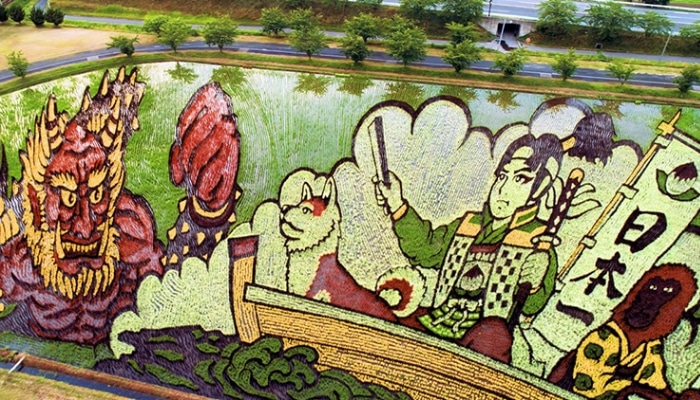 Agricultores japoneses utilizan distintas variedades de arroz para cultivar campos con diseños increíbles