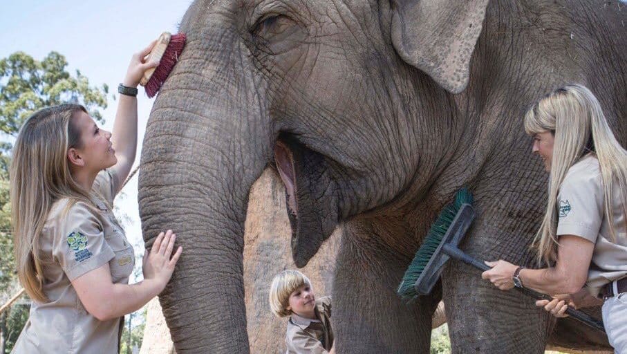 La familia Irwin abre el Santuario de Elefantes, cumpliendo uno de los objetivos de vida de Steve