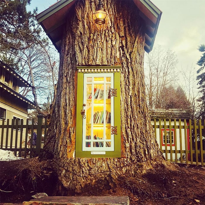 Mujer transforma el árbol podrido en una pequeña biblioteca gratuita en su patio delantero