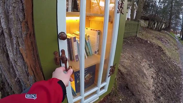 Mujer transforma el árbol podrido en una pequeña biblioteca gratuita en su patio delantero