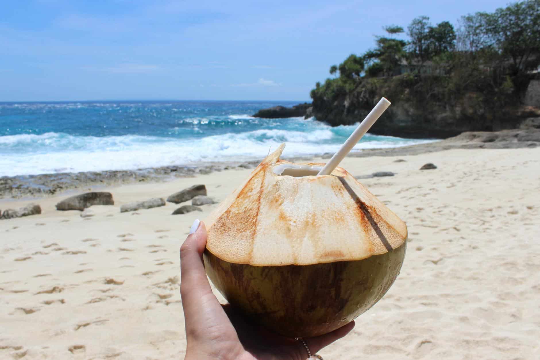 12 Beneficios del Agua de Coco, sus Propiedades y para que sirve