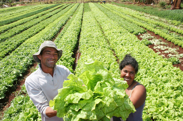 En tres años, Brasil triplica el número de productores orgánicos registrados