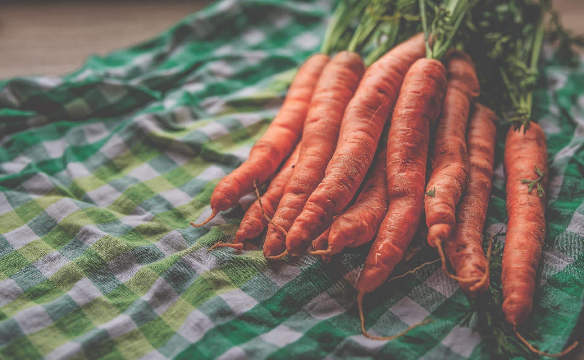 La Zanahoria y sus Propiedades Medicinales