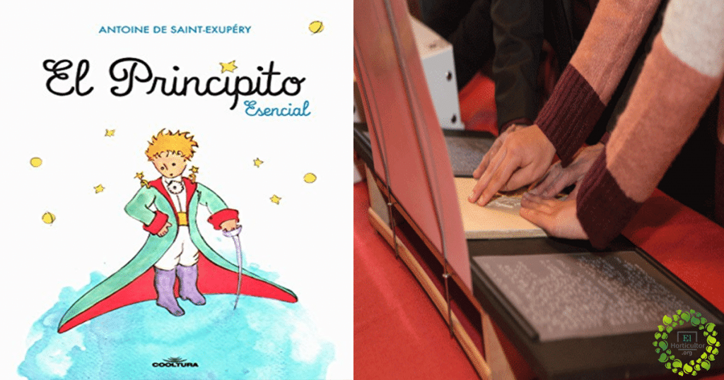 , Inspirador: El primer libro escrito en braille del Principito