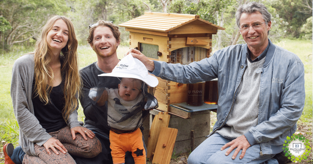 , Padre e Hijo han aumentado la población mundial de abejas