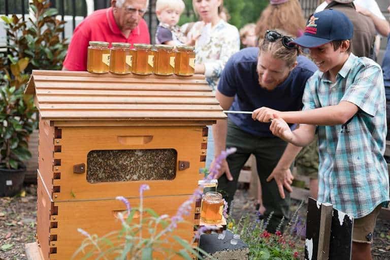 Padre e Hijo han aumentado la población mundial de abejas