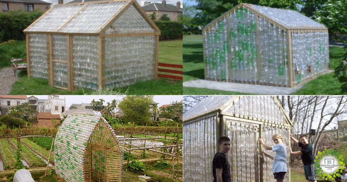 usted está al límite Puede ser ignorado Cómo construir tu propio invernadero con botellas de plástico recicladas »  El Horticultor