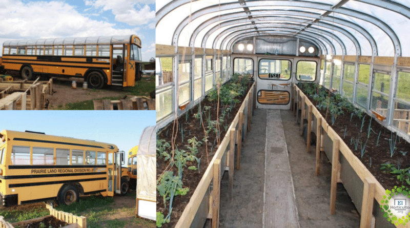 , Canadiense convierte autobuses abandonados en Invernaderos
