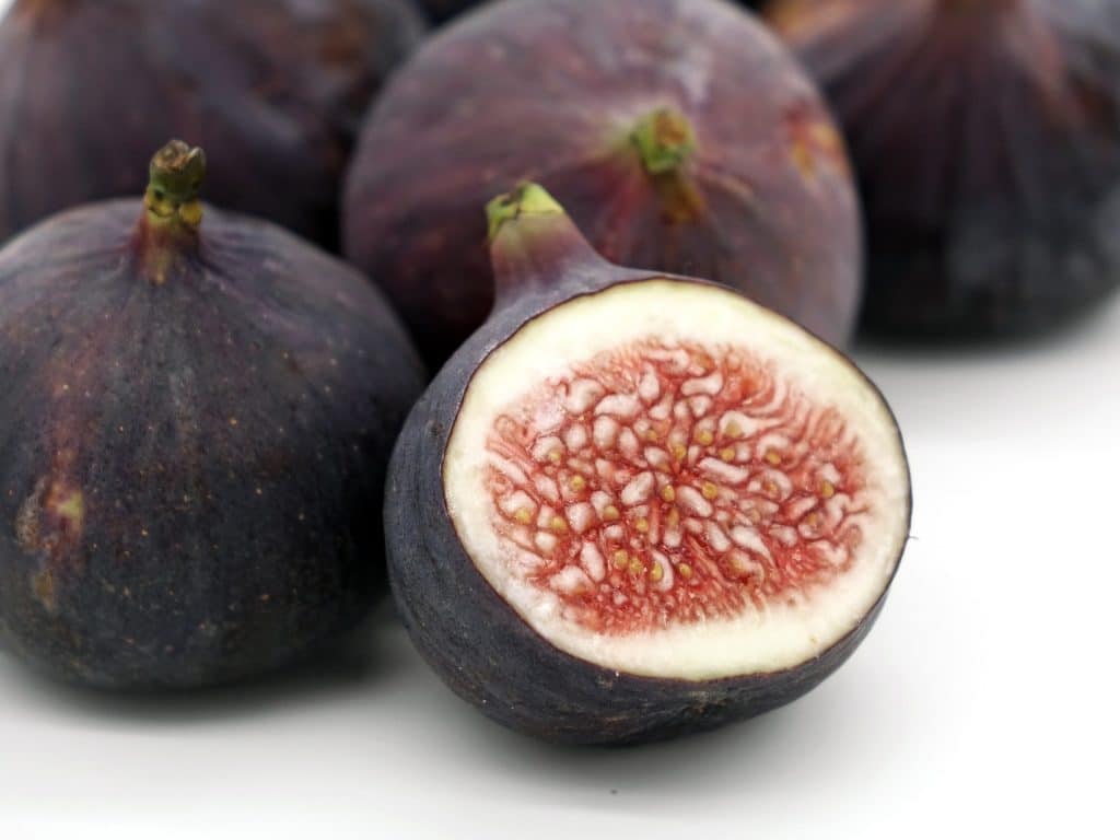 , &iquest;Sabias que los higos no son una fruta? Son Flores y dentro de ellas viven insectos