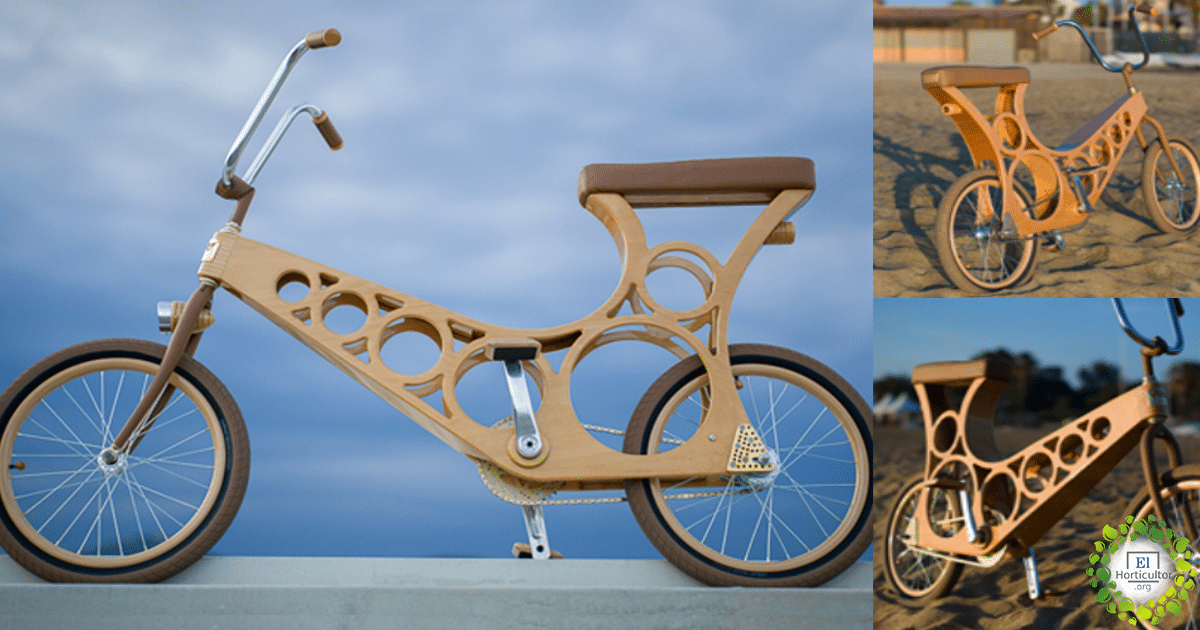 , Hoopy, La Bicicleta de Madera que te enamorará a primera vista