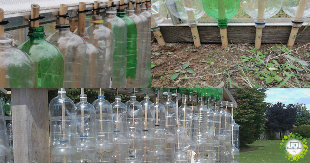 , Cómo construir tu propio invernadero con botellas de plástico recicladas