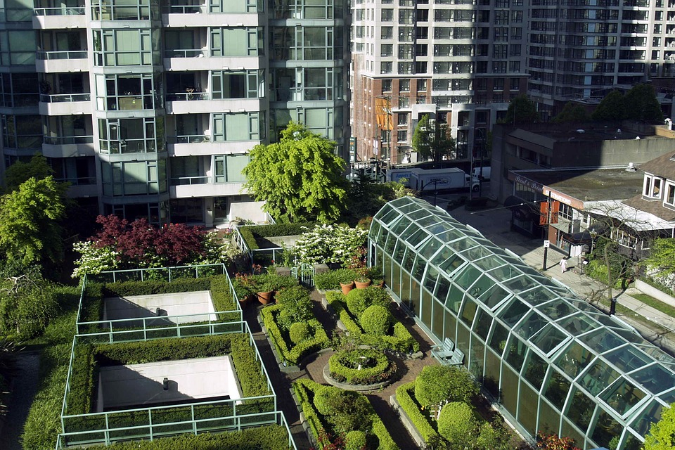 , Cómo convertir tu terraza en un huerto urbano