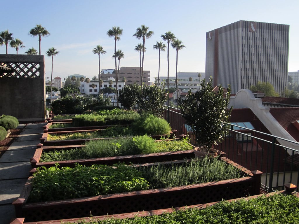 , Cómo convertir tu terraza en un huerto urbano
